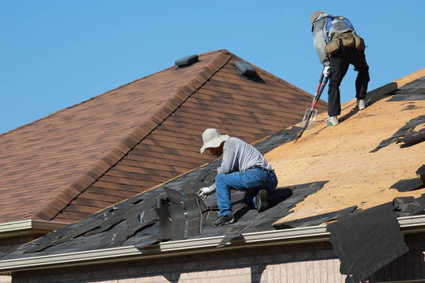 Best Roof Inspection  in USA